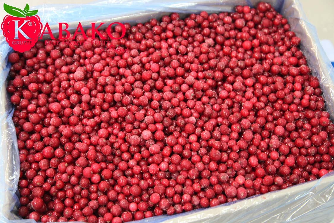 Frozen (IQF) Red Currants 18